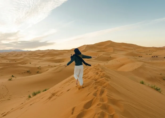 7 Days Tour From Casablanca