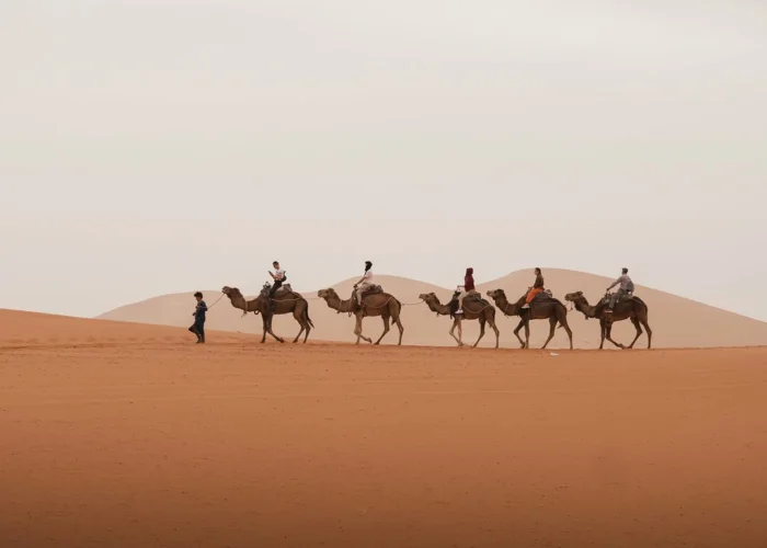 Fes to Marrakech Desert Tour